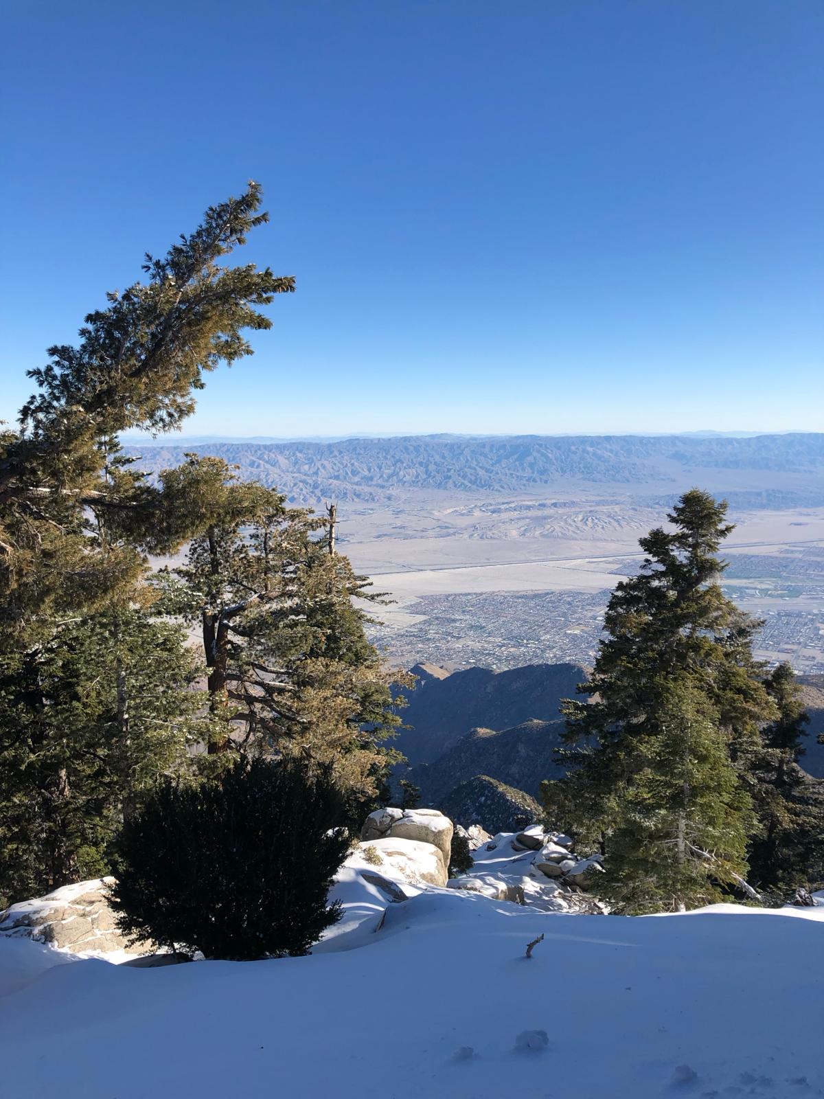 vue aerial tramway hiver palm springs