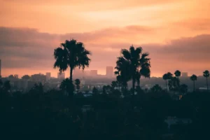 coucher de soleil sur los angeles avec deux palmiers qui se découpent dans le paysage