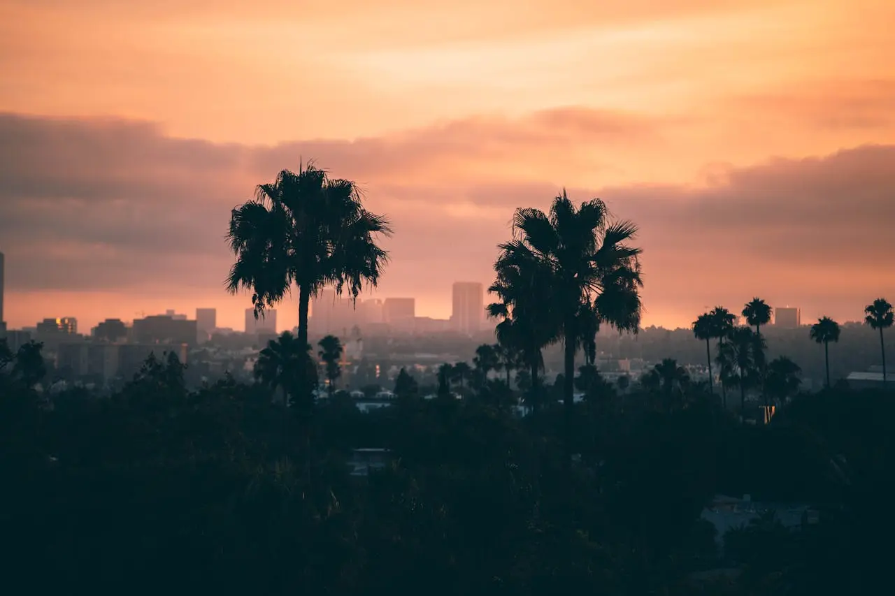 coucher de soleil sur los angeles avec deux palmiers qui se découpent dans le paysage